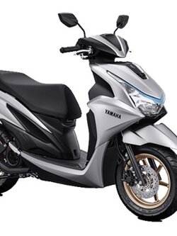 มอเตอร์ไซค์เช่าเชียงใหม่ yamaha free go