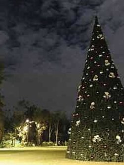 สำหรับการเช่าต้นคริสต์มาสขนาด 15เมตร ทรงกรวย พร้อมติดตั้ง ตกแต่ง