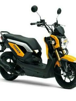 รถมอเตอร์ไซค์เช่าเชียงใหม่ zoomer x