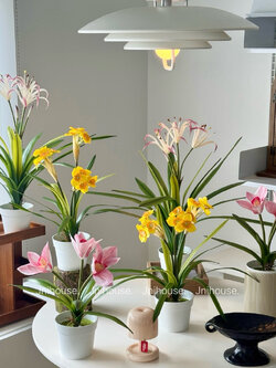 [พร้อมส่ง] Jnihouse : ต้นไม้ประดิษฐ์มีดอก กล้วยไม้ ดอกแดฟโฟดิล ดอกพลับพลึง