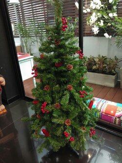 ให้เช่าต้นคริสต์มาสปลอมสีเขียวขนาด5ฟุต ตกแต่งฮอลลี่