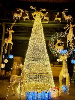 ให้เช่าต้นคริสต์มาสปลอม"christmas tree For Rent."