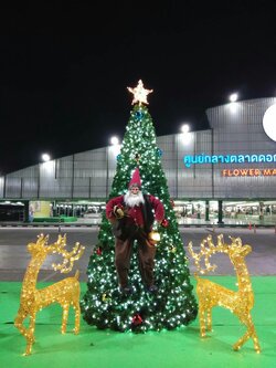 ให้เช่าต้นคริสต์มาส ทรงกรวย ขนาด 5เมตร พร้อมSETของตกแต่ง