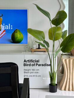 [พร้อมส่ง] Jnihouse : ต้นปักษาสวรรค์ประดิษฐ์(Tree) สูง 160 cm (ใบอ่อน)