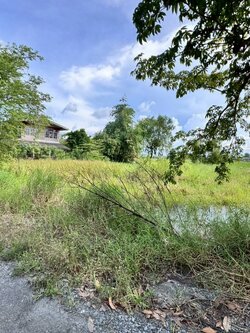 ขายที่ดิน 200 ตารางวา ถ.ประชาสำราญ เข้าซอยเพียง 350 เมตร (N.1862)