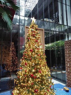 ต้นคริสต์มาสปลอมขนาด20ฟุตพร้อมของตกแต่ง