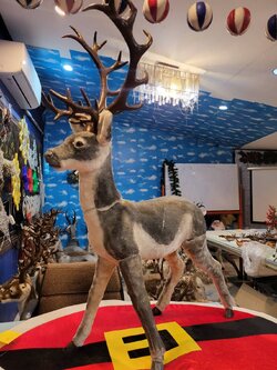 ให้เช่ากวางเรนเดียร์คริสต์มาส 110cm.เทาอ่อน