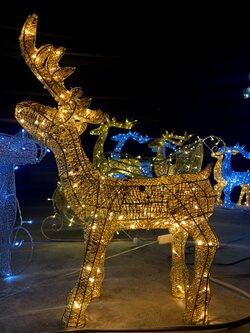 ให้เช่ากวางคริสต์มาสสีทองประดับไฟ ขนาด 60cm.