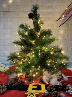 ให้เช่าต้นคริสต์มาสขนาดตั้งโต๊ะ ขนาด 1.5ฟุต