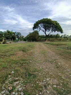 ขายที่ดินแปลงใหญ่ สุวรรณภูมิ ทับช้าง 4 ไร่ (N.628)