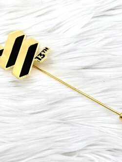 พินติดสูท