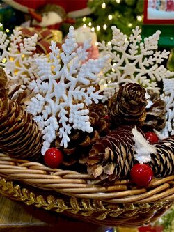 ให้เช่ากระถางตั้งโชว์ลูกสนไม้แท้ธีมคริสต์มาส