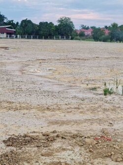 ขายที่ดินสวย ตำบลบ้านหม้อ จังหวัดเพชรบุรี 130 ตร.ว./แปลง ติดถนน (N.1326)