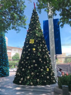 ให้เช่าต้นคริสต์มาสทรงกรวยขนาด9เมตรพร้อมของตกแต่ง