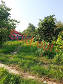 ขายบ้านสวนแปลงสวยเหมาะลงทุน 3 ไร่กว่า ต.ไร้น้อย อุบลราชธานี (N.682)