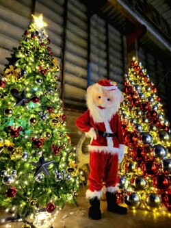 ต้นคริสต์มาสปลอมสำหรับเช่า