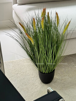 [พร้อมส่ง] Jnihouse : ต้นหญ้าประดิษฐ์กระถางดำ (Artificial Grass Potted)(Tree)