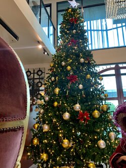 รูปแบบการเช่าต้นคริสต์มาส"ในประเทศไทย"