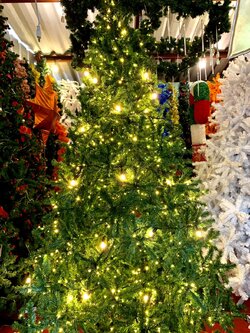 ต้นคริสต์มาสปลอมทรงสนขนาด 12ฟุต