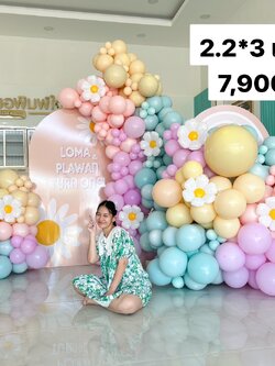 แบคดรอป ฉากลูกโป่ง (ใหญ่)