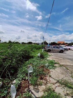 ขายที่ดิน 6-3-94 ไร่ติดถนน เฉลิมพระเกียรติ สวยมาก (N.1189)