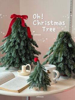 [พร้อมส่ง] Jnihouse : Oh Christmas Tree (ต้นคริสต์มาส)