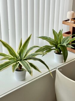 [พร้อมส่ง] Jnihouse : ต้นวาสนา ต้นไม้ประดิษฐ์ (Tree)