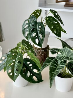 [พร้อมส่ง] Jnihouse : ต้นไม้ประดิษฐ์เล็กกระถางขาว (Tree)