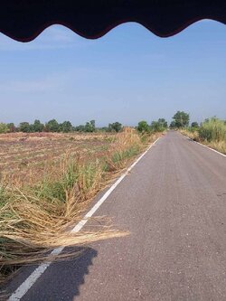 ขายที่นาสวยหน้ากว้าง ติดถนนลาดยาง 200 เมตร (N.993)