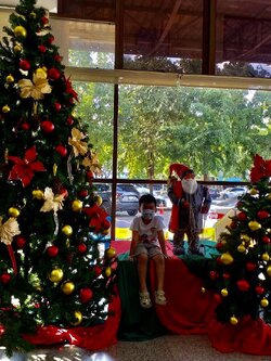 ให้เช่าsetต้นคริสต์มาสขนาด10ฟุตพร้อมของประดับ