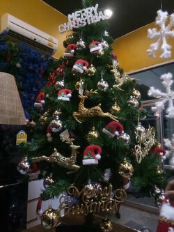 ให้เช่าต้นคริสต์มาสพร้อมตกแต่งขนาด5ฟุต