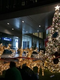 ต้นคริสต์มาสประดับ 15ฟุต