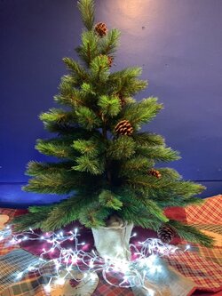 ให้เช่าต้นคริสต์มาสประดับสนไม้ ขนาด 3ฟุต