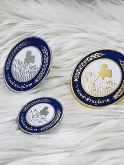 เข็มกลัดตราสัญลักษณ์ต่างๆ