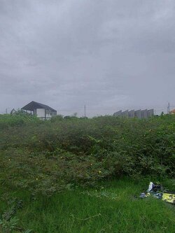 ขายที่ดิน569ตร.วาติดถนนพัฒนาการตัดใหม่สวยมาก (N.1257)