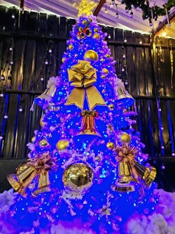 ให้เช่าต้นคริสต์มาสสีขาว 10ฟุตพร้อมของตกแต่ง