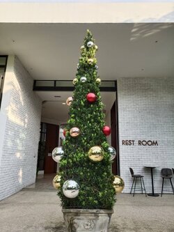 ให้เช่าลูกบอลตกแต่งต้นคริสต์มาส