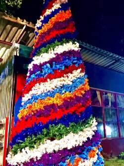 สำหรับการเช่าต้นคริสต์มาสหลากสีขนาด5เมตร ทรงกรวย