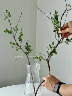 [พร้อมส่ง] Jnihouse : กิ่งไม้ประดิษฐ์สูง 75 cm (มีใบเขียว)