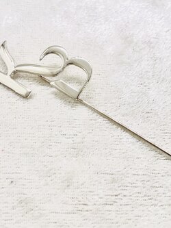 พินติดสูท