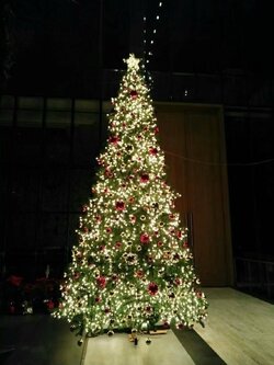 แบบต้นคริสต์มาสสีเขียวขนาด 15 ft.พร้อมของประดับ