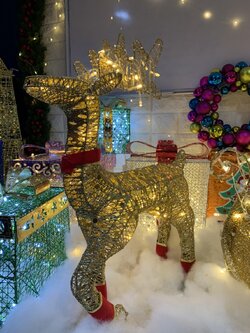 ให้เช่ากวางเรนเดียร์ไฟประดับในวันคริสต์มาส