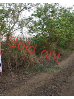 ขายถูกที่ดินคลอง13 รังสิต-ปทุม 1ไร่ 3 งาน 55 วา กว้าง 40 ลึก 90 เมตร (N.010)