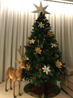 ให้เช่าต้นคริสต์มาส6ฟุตพร้อมตกแต่ง