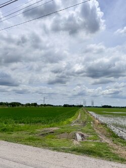 ขายที่ดินเปล่าหนองจอก ถ.ประชาสำราญ1 (ซอยคลองสิบสาม) **เพียง 1,875/ตารางวา** (N.1716)