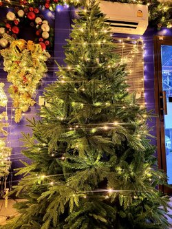 ต้นคริสต์มาสปลอมขนาด 7 ฟุต VIP กิ่งแฉก