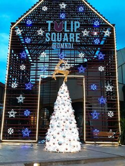 ให้เช่าต้นคริสต์มาสขนาด 5เมตร ทรงกรวยพร้อมตกแต่ง