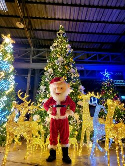 ร้านเช่าต้นคริสต์มาสปลอม