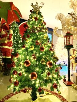 ให้เช่าต้นคริสต์มาสขนาด5ฟุตพร้อมของตกแต่ง