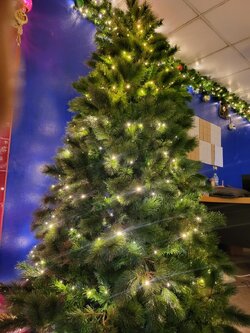 ต้นคริสต์มาสปลอมขนาด 5.5 ฟุต VIP Rosemary